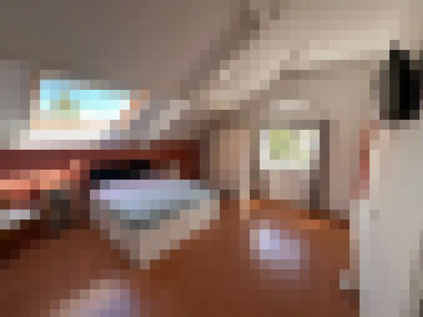 Marialaan 6 Ooij thumbnail 17