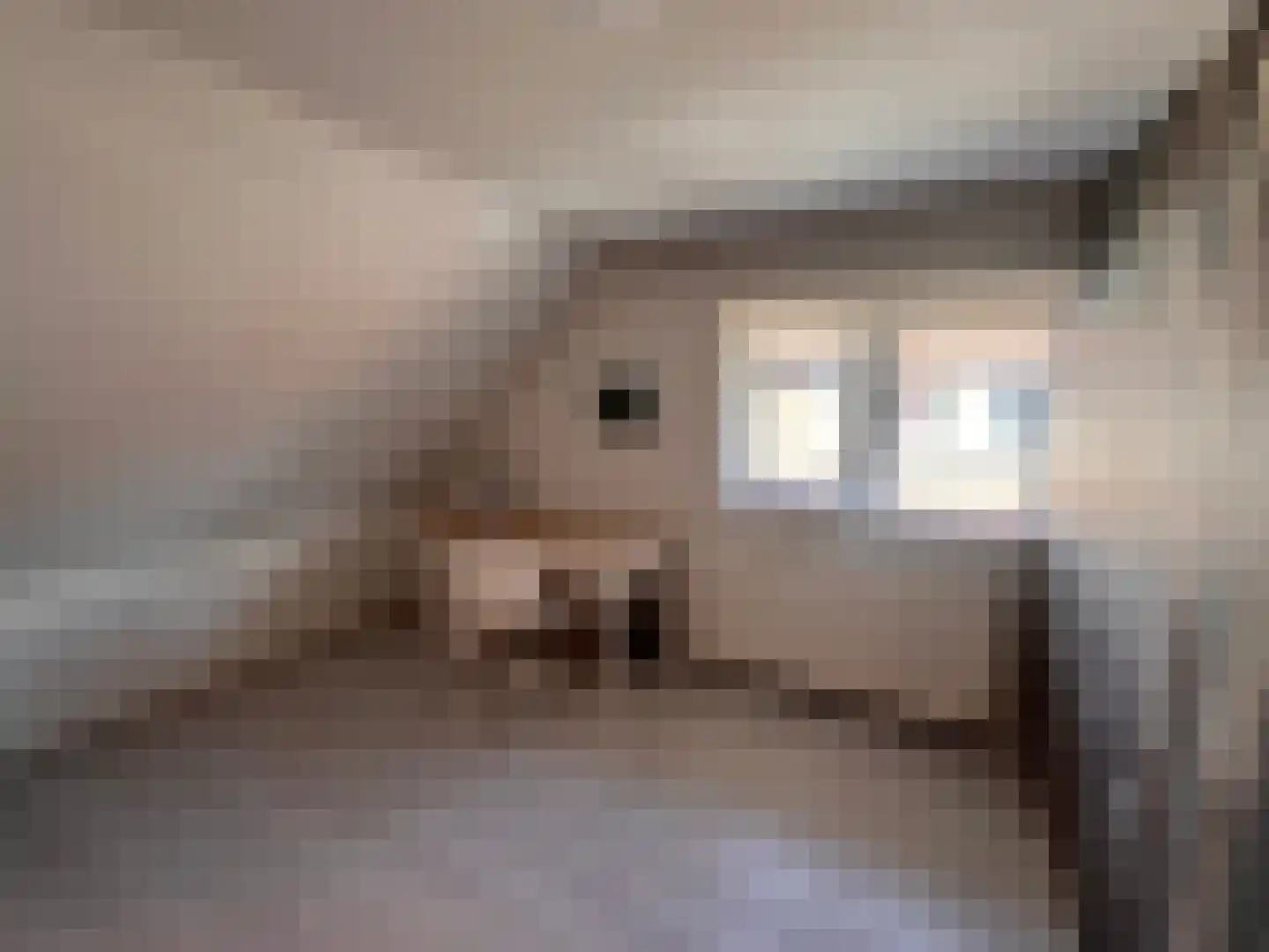 Marialaan 6 Ooij thumbnail 19