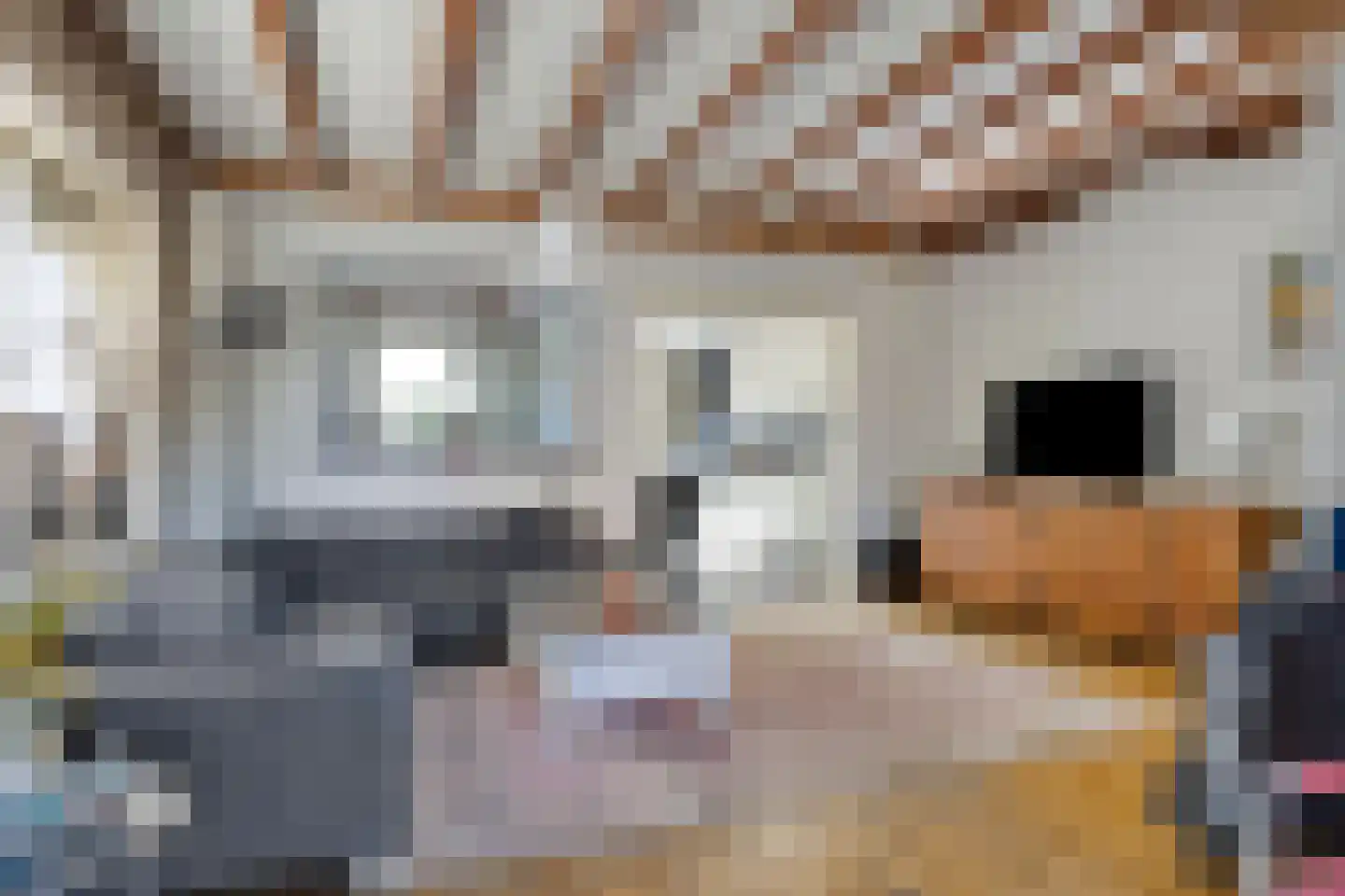 Marialaan 6 Ooij thumbnail 8