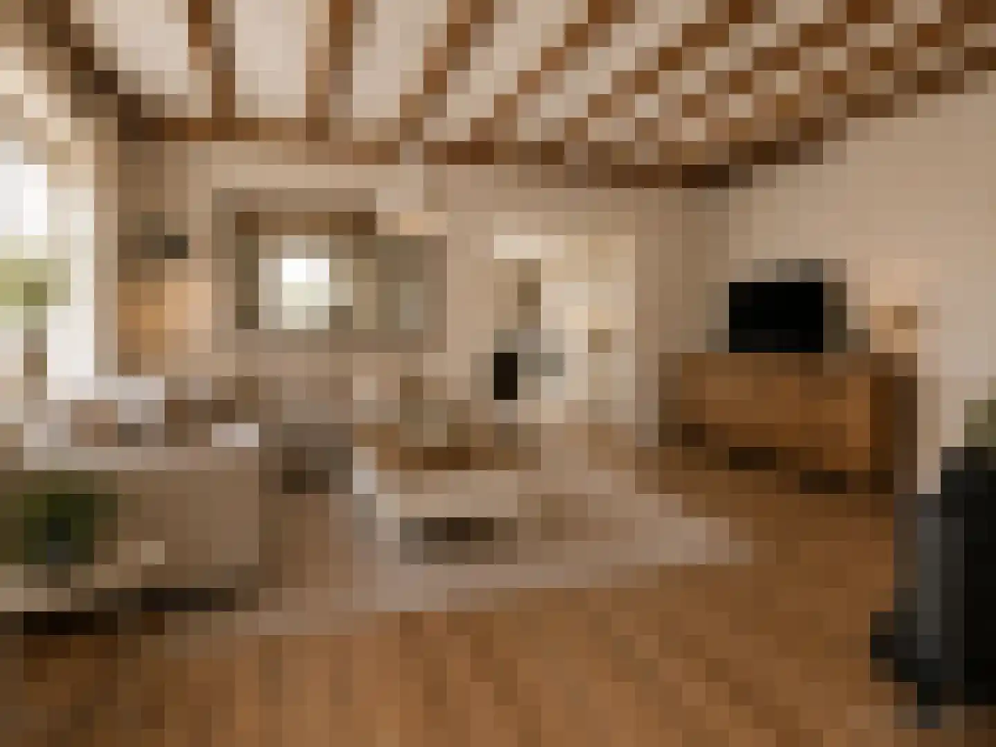 Marialaan 6 Ooij thumbnail 9