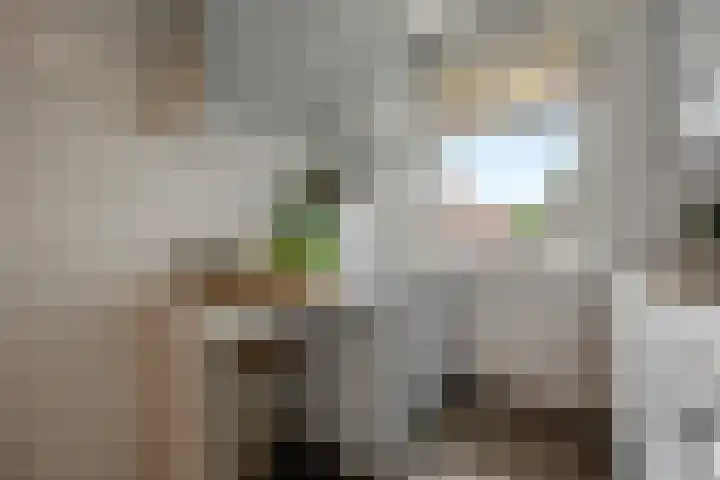 Marialaan 66 Nijmegen thumbnail 11