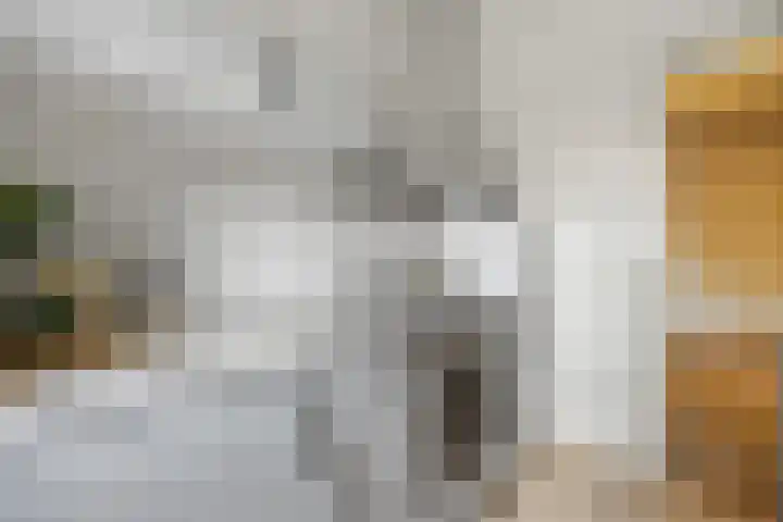 Marialaan 66 Nijmegen thumbnail 12