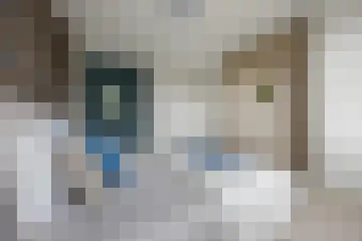 Marialaan 66 Nijmegen thumbnail 21