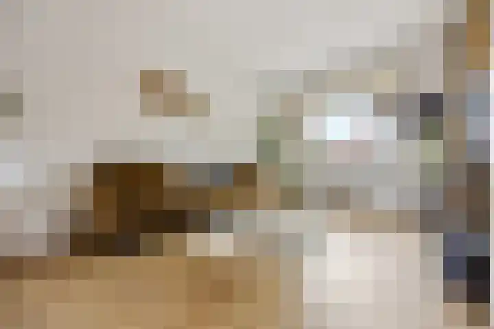 Marialaan 66 Nijmegen thumbnail 6