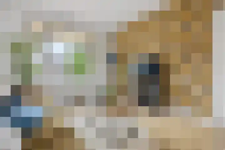 Marialaan 66 Nijmegen thumbnail 7