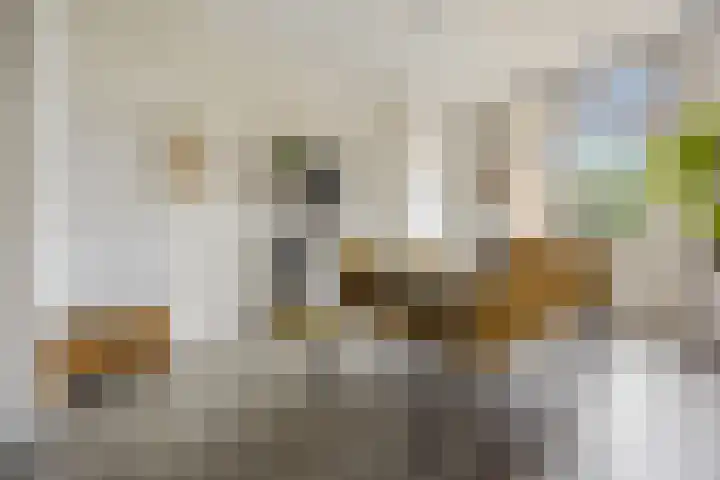 Marialaan 66 Nijmegen thumbnail 8