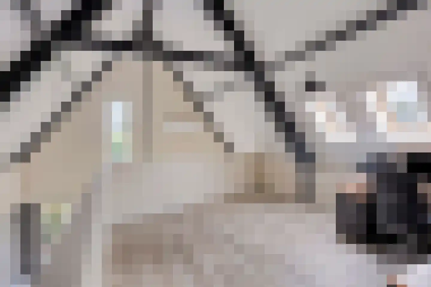 Marialaan 68 Ooij thumbnail 18