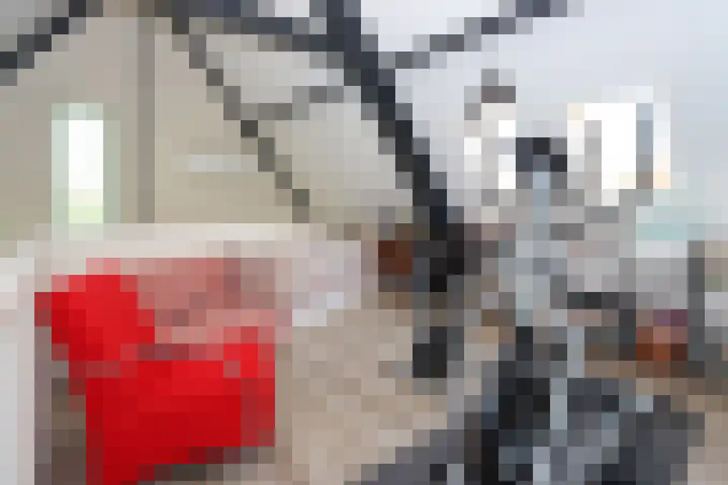 Marialaan 68 Ooij thumbnail 20