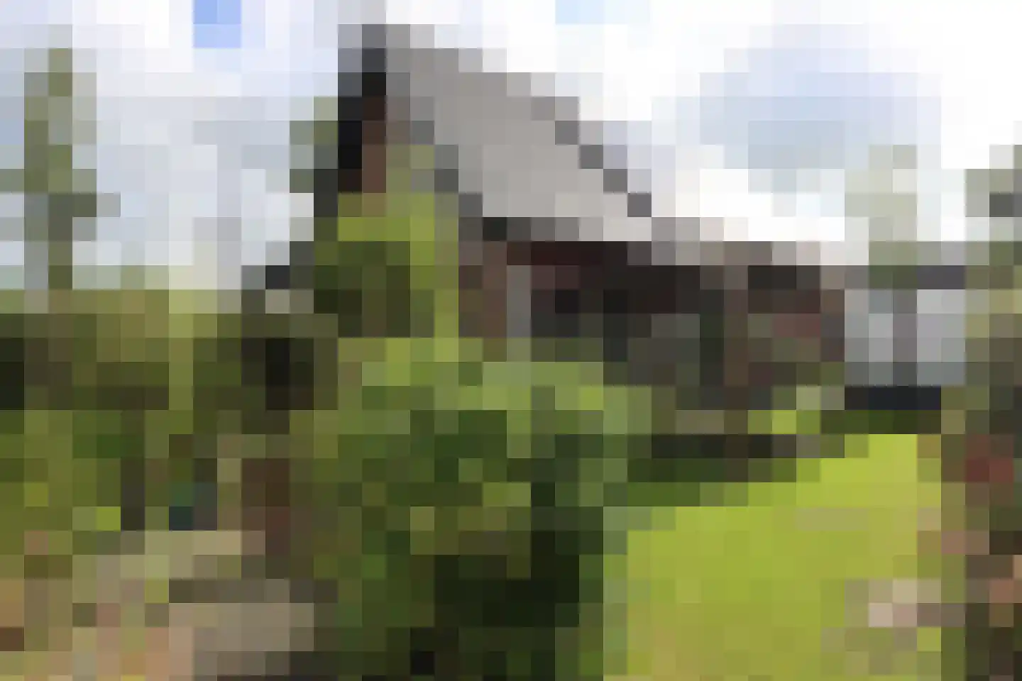 Marialaan 68 Ooij thumbnail 23