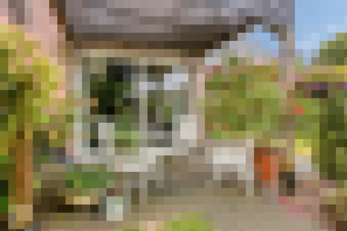 Marialaan 68 Ooij thumbnail 24