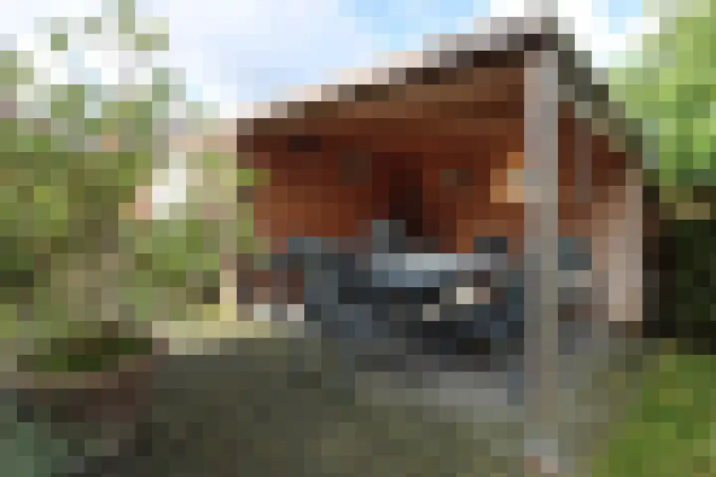 Marialaan 68 Ooij thumbnail 24