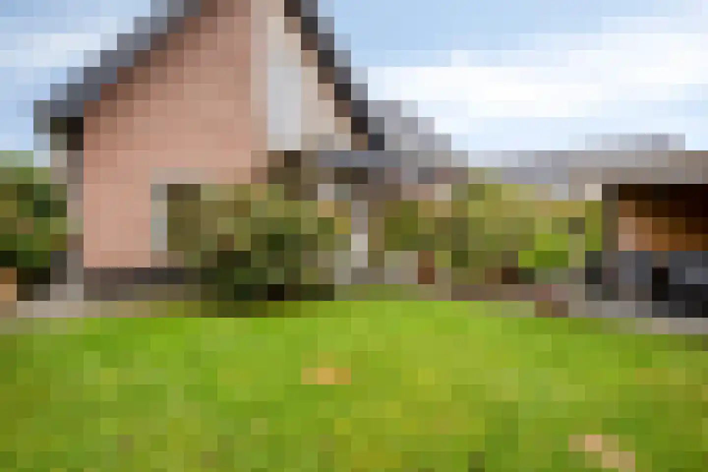 Marialaan 68 Ooij thumbnail 32