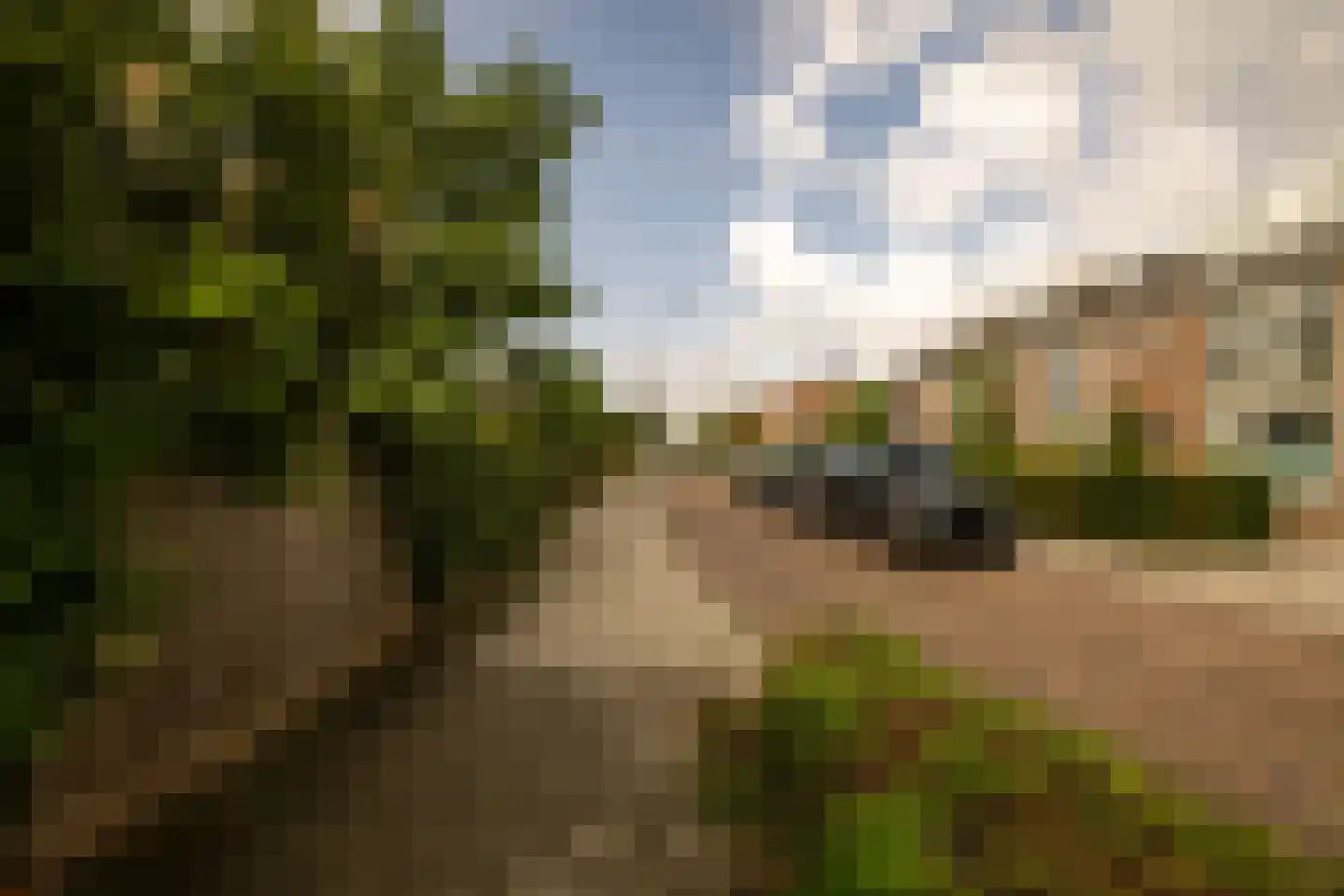 Marialaan 76 Zwanenburg thumbnail 36