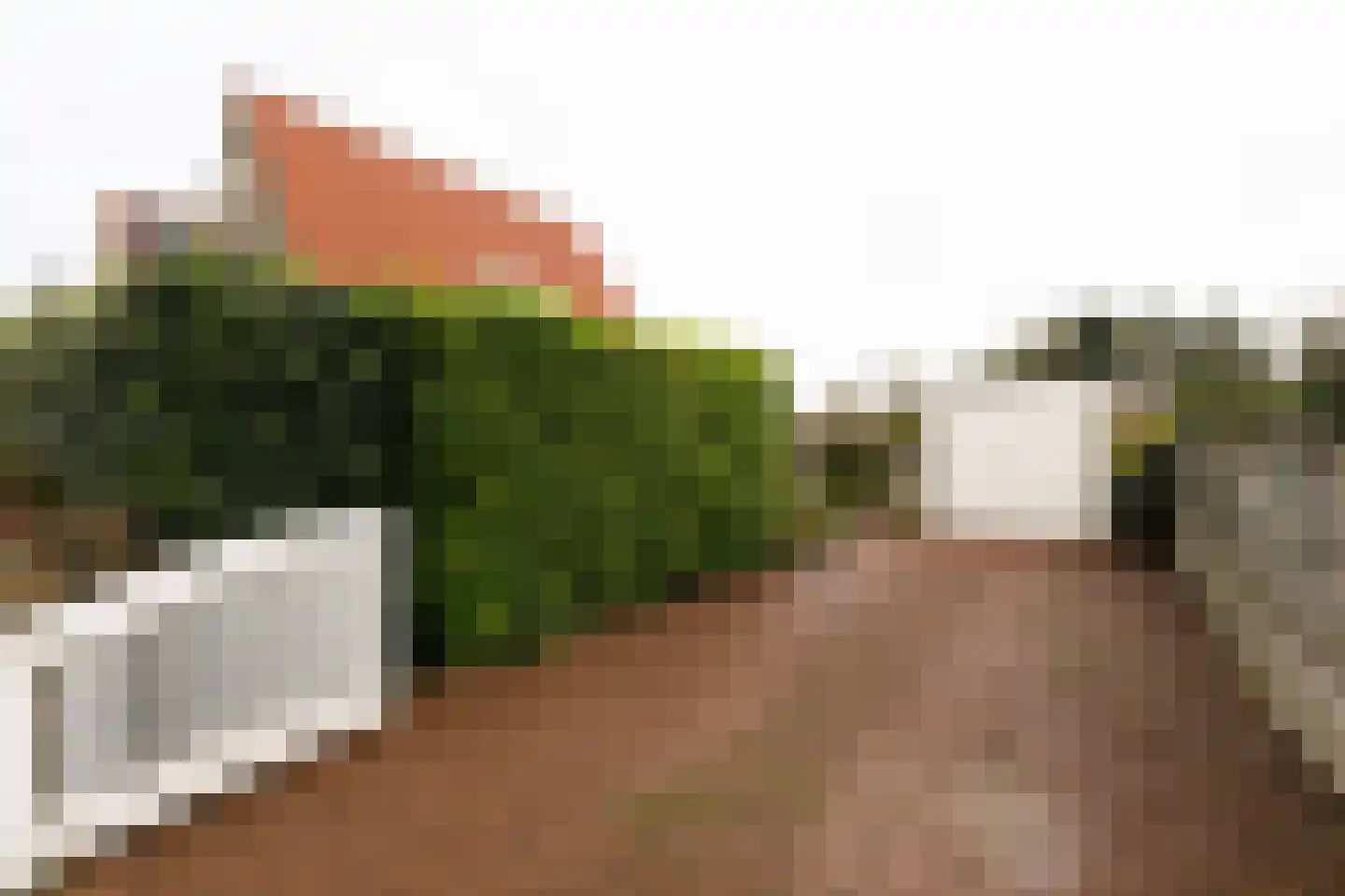 Marialaan 76 Zwanenburg thumbnail 4