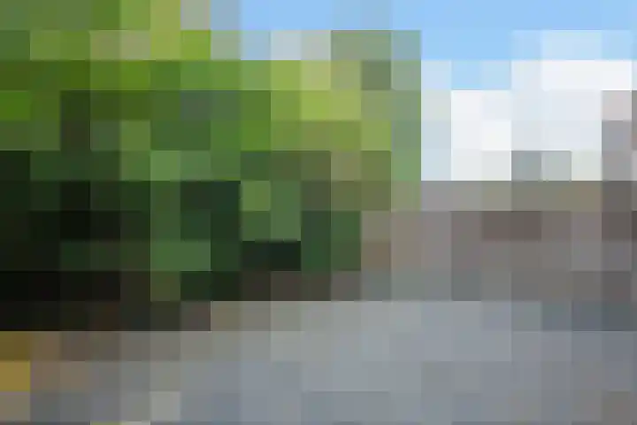 Marialaan 81 Nijmegen thumbnail 22