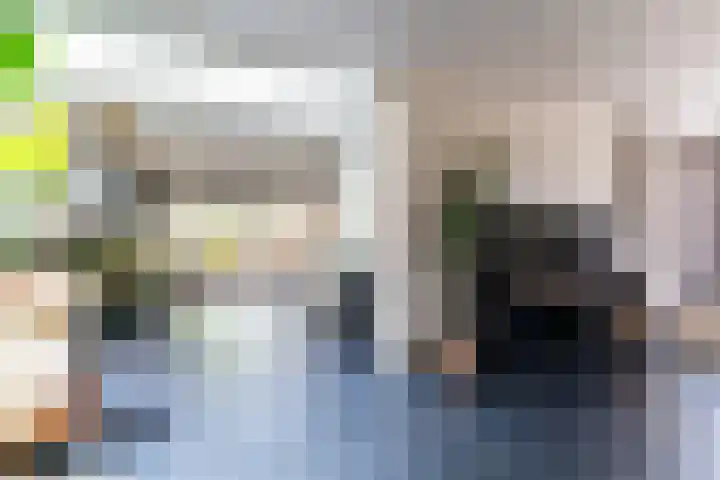 Marialaan 83 Reusel thumbnail 13