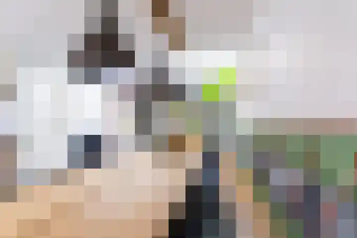 Marialaan 83 Reusel thumbnail 22