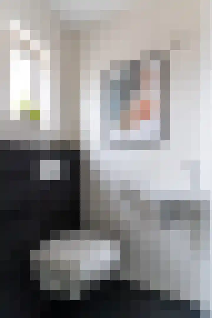 Marialaan 83 Reusel thumbnail 30
