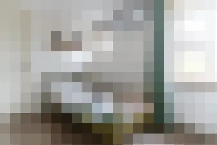Marialaan 83 Reusel thumbnail 37