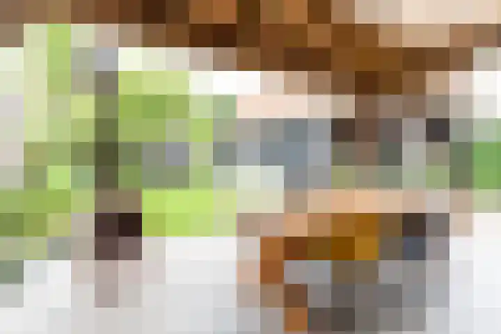 Marialaan 83 Reusel thumbnail 45