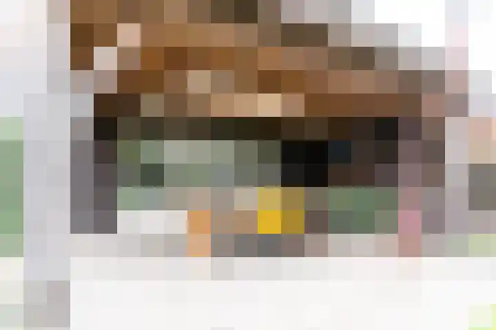 Marialaan 83 Reusel thumbnail 46