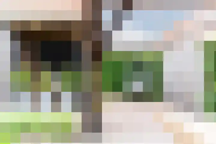 Marialaan 83 Reusel thumbnail 47