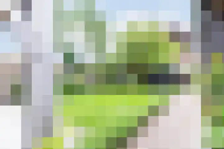 Marialaan 83 Reusel thumbnail 48