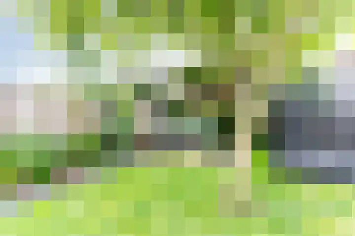 Marialaan 83 Reusel thumbnail 49