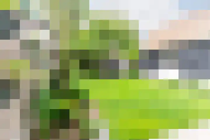 Marialaan 83 Reusel thumbnail 50