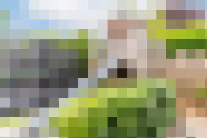 Marialaan 83 Reusel thumbnail 51