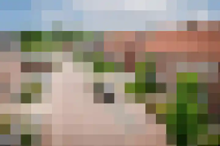 Marialaan 83 Reusel thumbnail 54