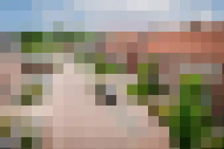 Marialaan 83 Reusel thumbnail 55