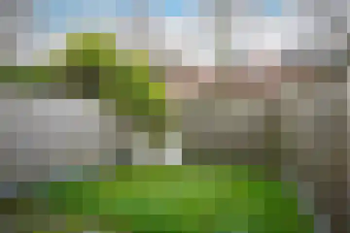 Marialaan 95 Nijmegen thumbnail 16