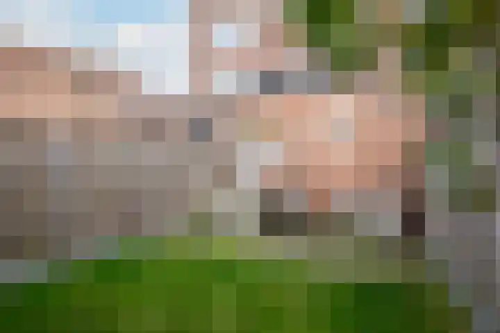 Marialaan 95 Nijmegen thumbnail 18