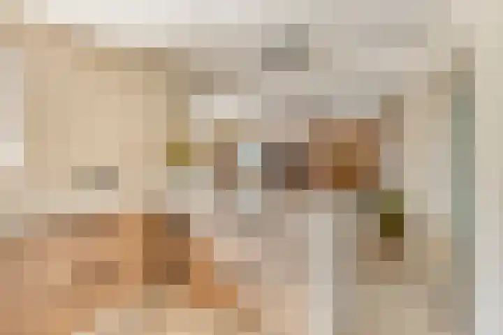 Marialaan 96 Reusel thumbnail 13