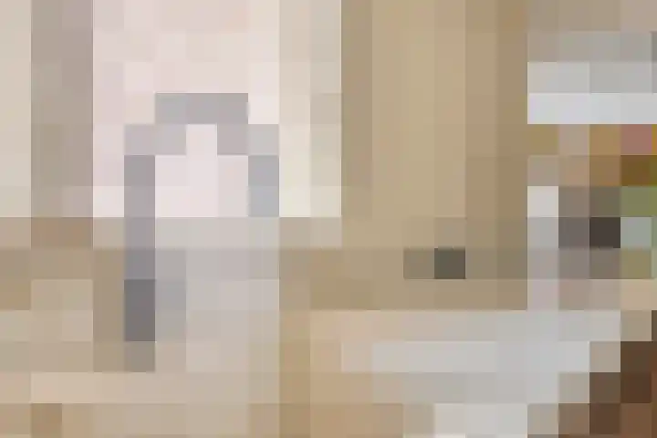 Marialaan 96 Reusel thumbnail 15