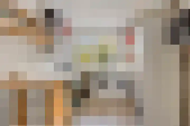 Marialaan 96 Reusel thumbnail 21