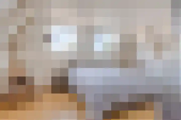 Marialaan 96 Reusel thumbnail 25