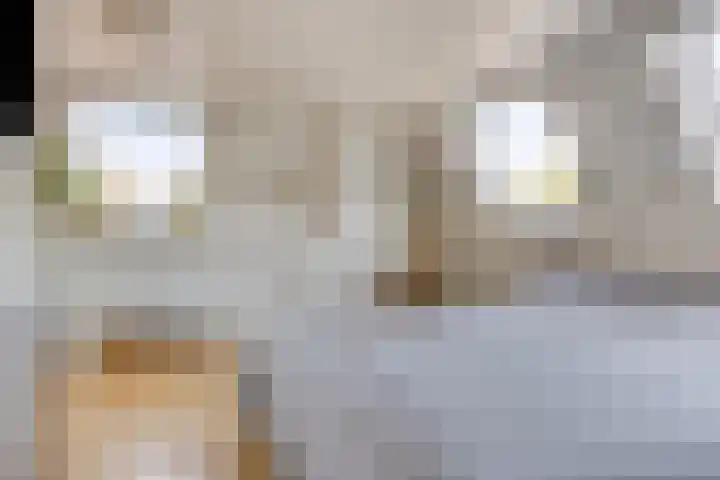 Marialaan 96 Reusel thumbnail 27