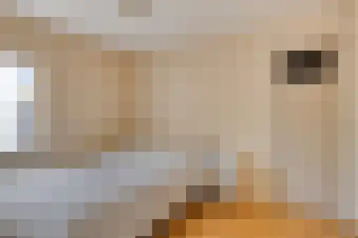 Marialaan 96 Reusel thumbnail 29