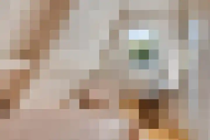 Marialaan 96 Reusel thumbnail 30