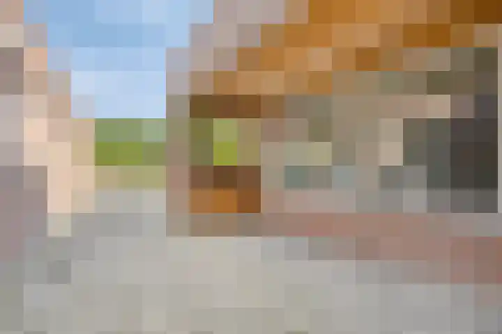 Marialaan 96 Reusel thumbnail 38