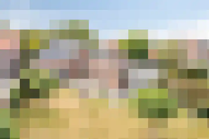 Marialaan 96 Reusel thumbnail 42