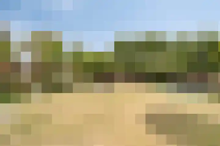 Marialaan 96 Reusel thumbnail 44