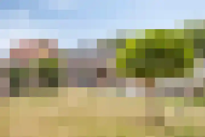 Marialaan 96 Reusel thumbnail 45