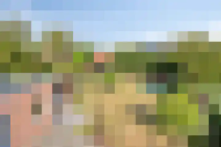 Marialaan 96 Reusel thumbnail 46