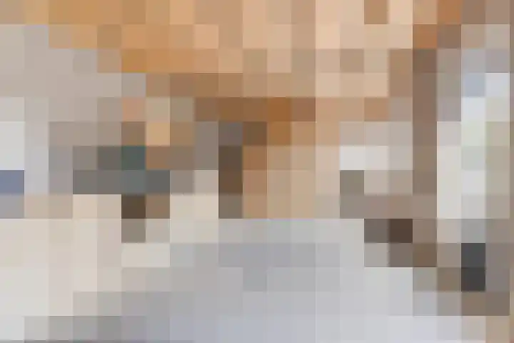 Marialaan 96 Reusel thumbnail 48
