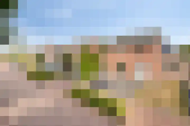 Marialaan 96 Reusel thumbnail 50