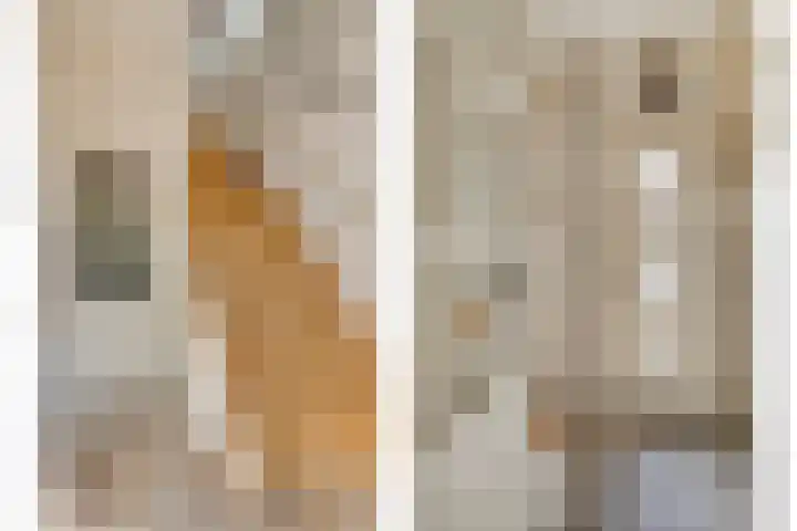Marialaan 96 Reusel thumbnail 7