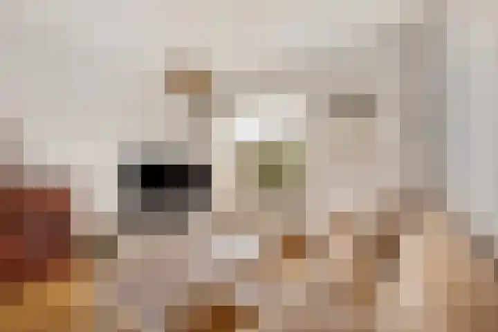 Marialaan 99 Zwanenburg thumbnail 10